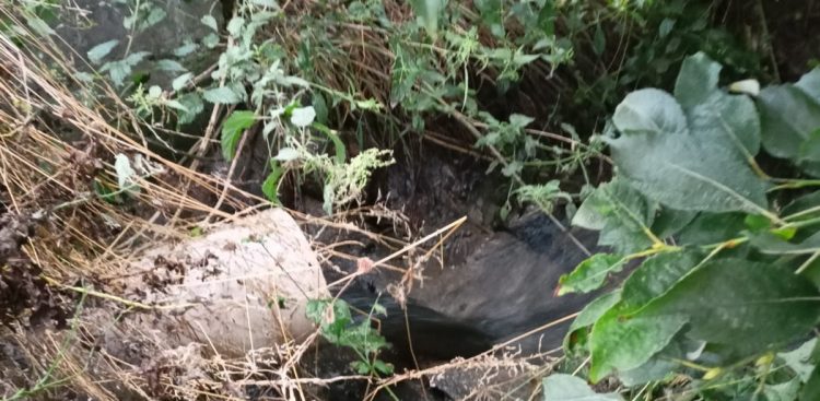 Tak wyglądała Styna (fot. Wojewódzki Inspektorat Ochrony Środowiska)