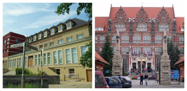 (Fot. Wikimedia Commons)