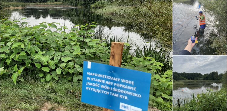 (Fot. Sebastian Kwiatkowski/Gdańskie Wody)