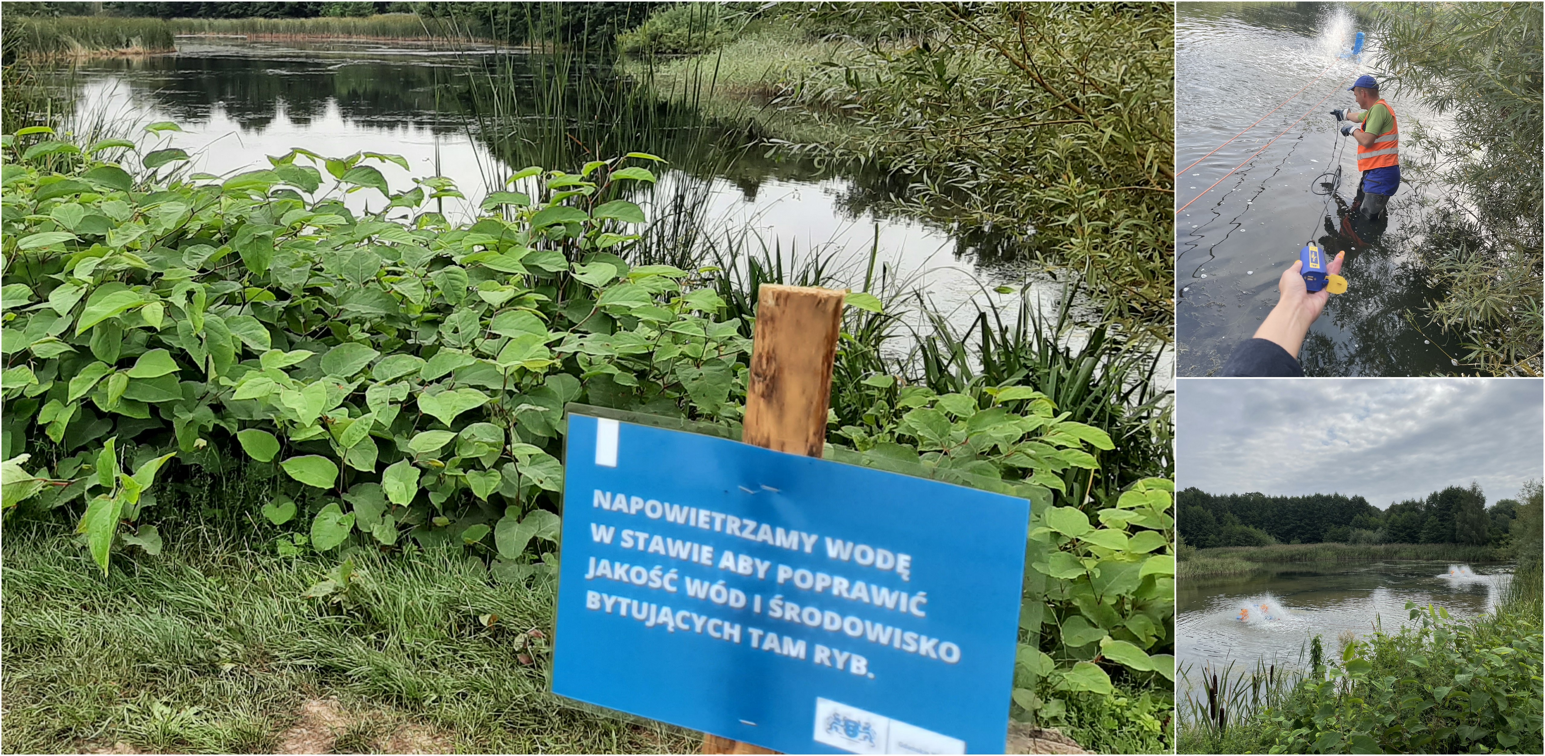 (Fot. Sebastian Kwiatkowski/Gdańskie Wody)