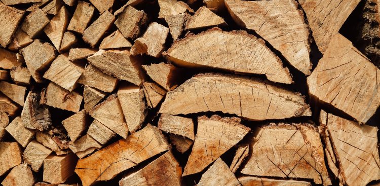 (Fot. Pixnio/Marko Milivojevic)