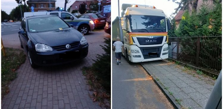 (Fot. Straż Miejska w Elblągu)