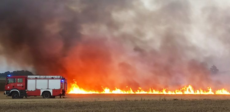 (fot. Radio Gdańsk/Sebastian Kwiatkowski)