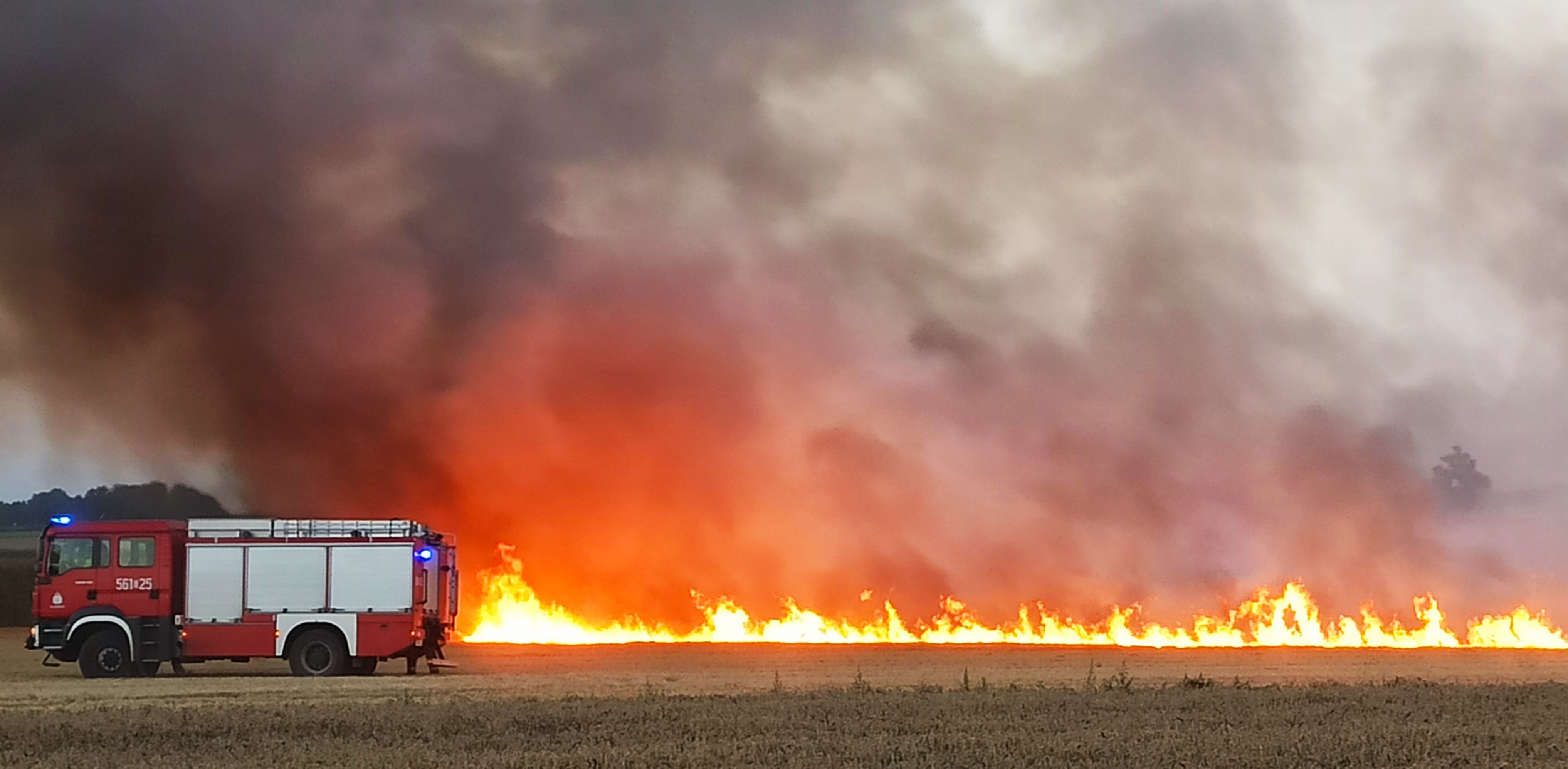 (fot. Radio Gdańsk/Sebastian Kwiatkowski)