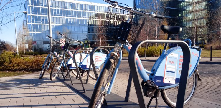 (Fot. Wikimedia Commons/Krzychu025)