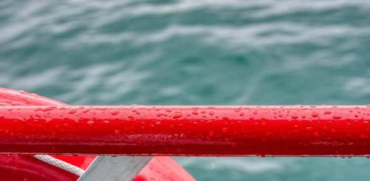 Zdjęcie ilustracyjne (fot. Pixabay)