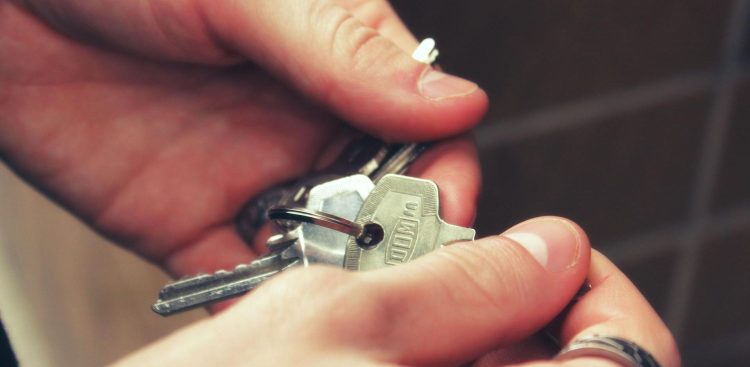 Zdjęcie ilustracyjne
(fot. Pixabay)