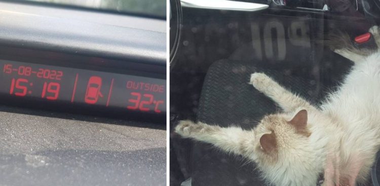 (fot. Pomorska Policja)