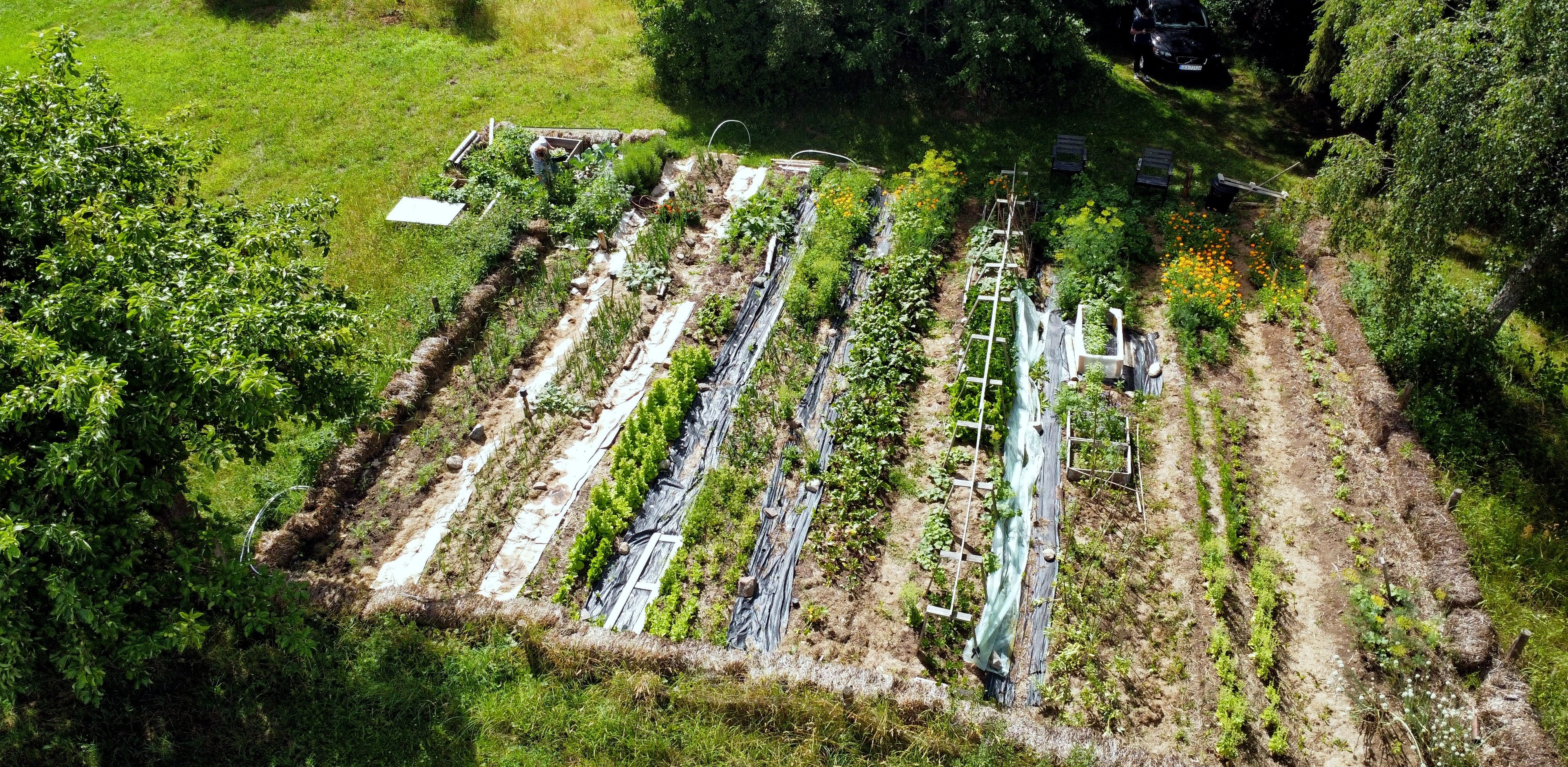 (fot. Klaudia Sidorowicz)