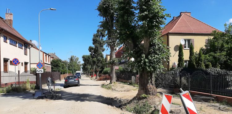 Fot. Przemysław Woś