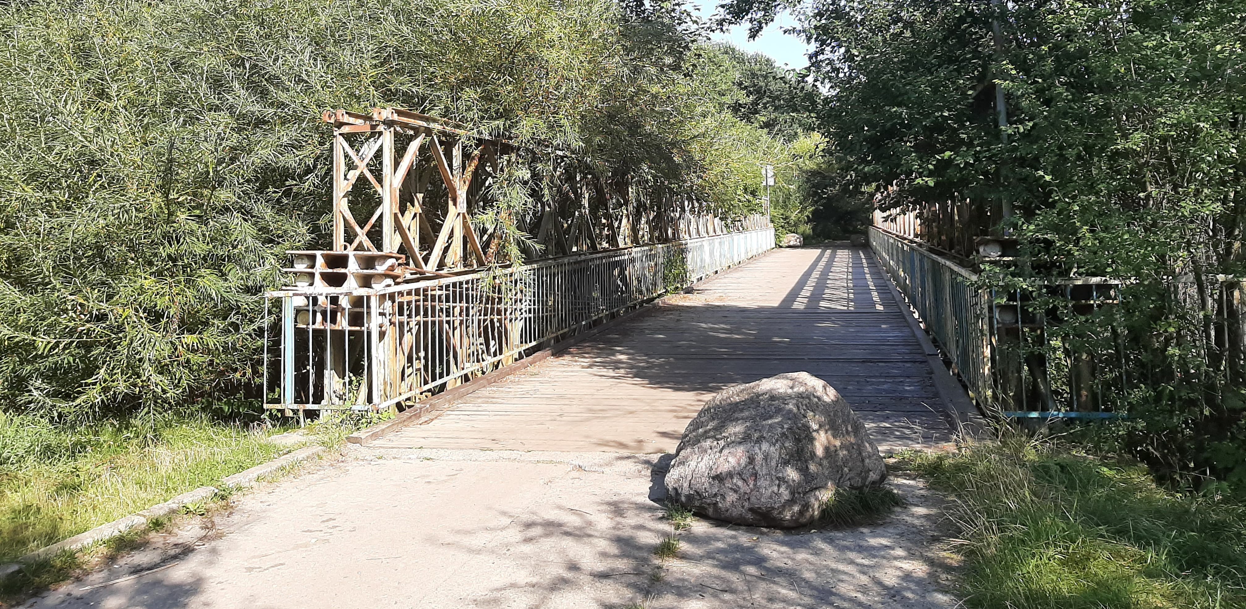 Fot. Przemysław WoŚ