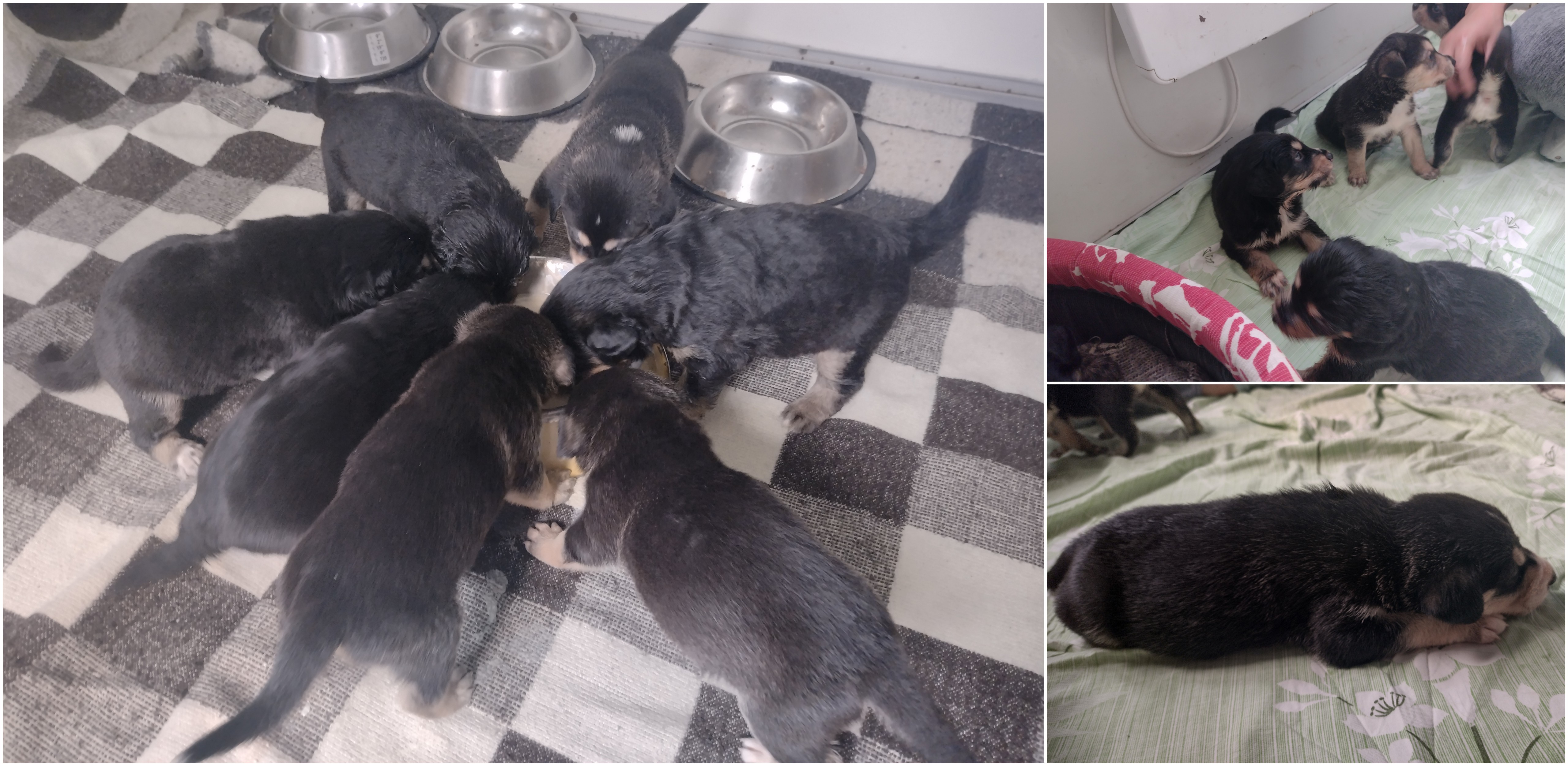 (fot. Radio Gdańsk/Hanna Brzezińska)