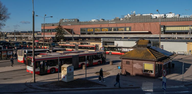 (fot. Anna Rezulak / KFP)