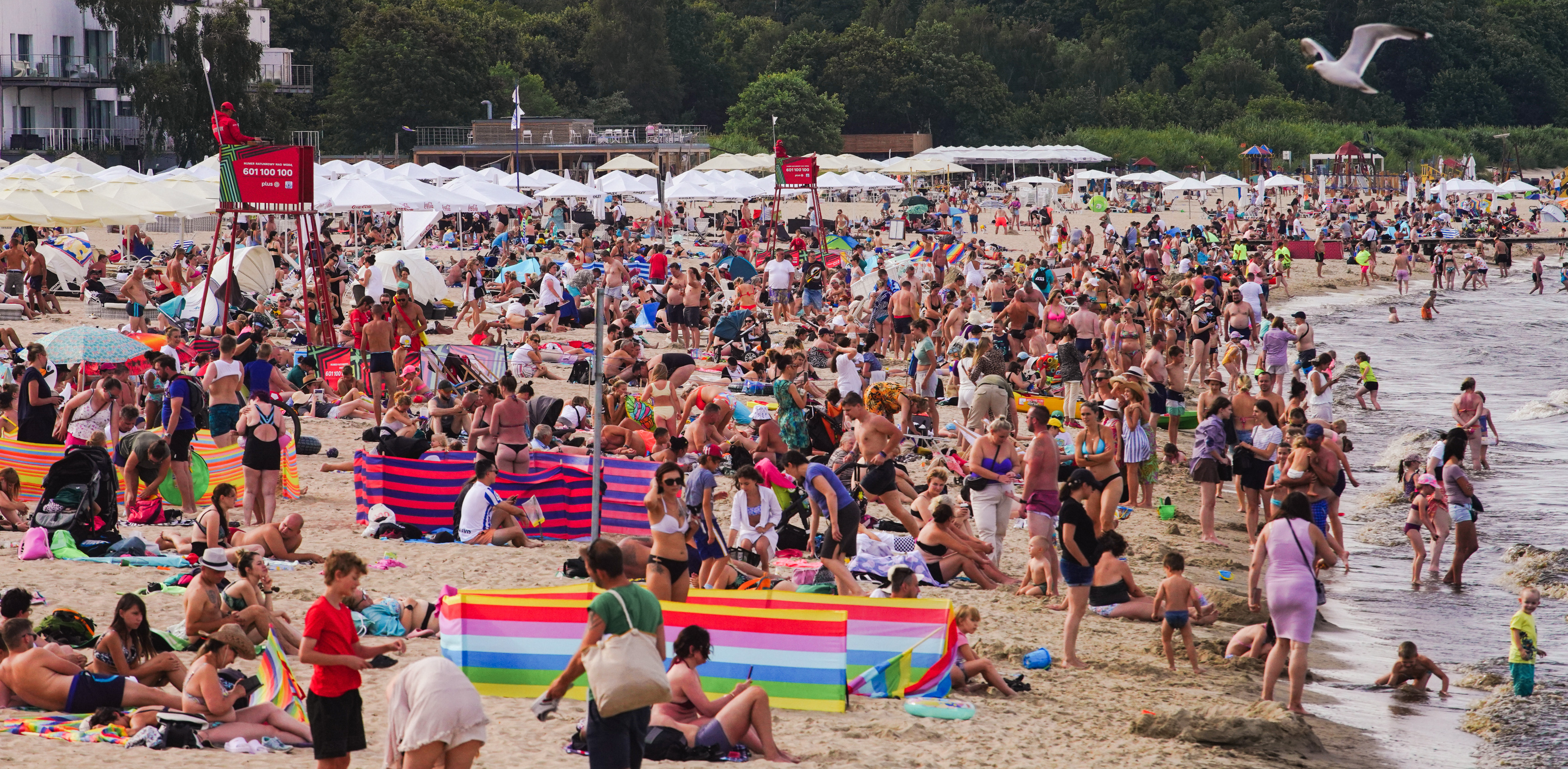 (fot. Anna Rezulak / KFP)