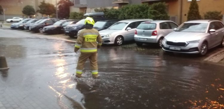 (Fot. Krzysztof. K.)