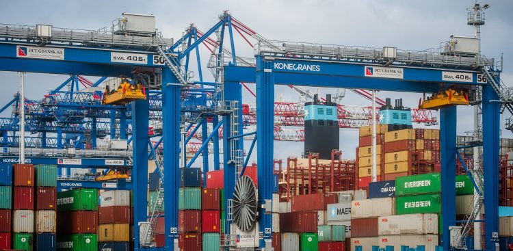 (Fot. mat. pras. DTC Gdańsk)