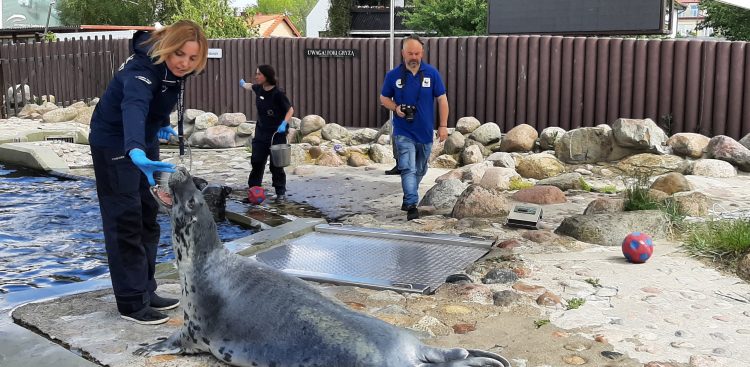 (Fot. Wojciech Czuchryta)