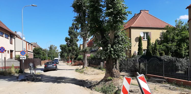 Fot. Przemysław Woś