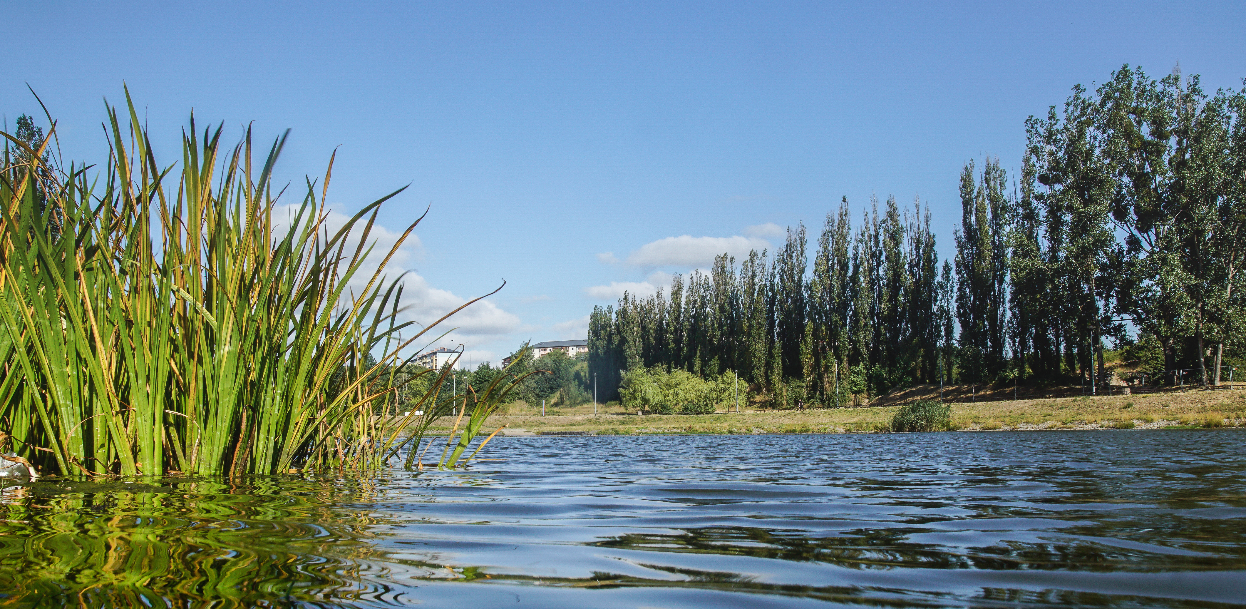 (fot. Paweł Marcinko / KFP)