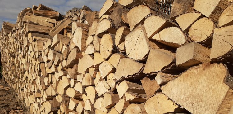 (Fot. Radio Gdańsk/Sebastian Kwiatkowski)