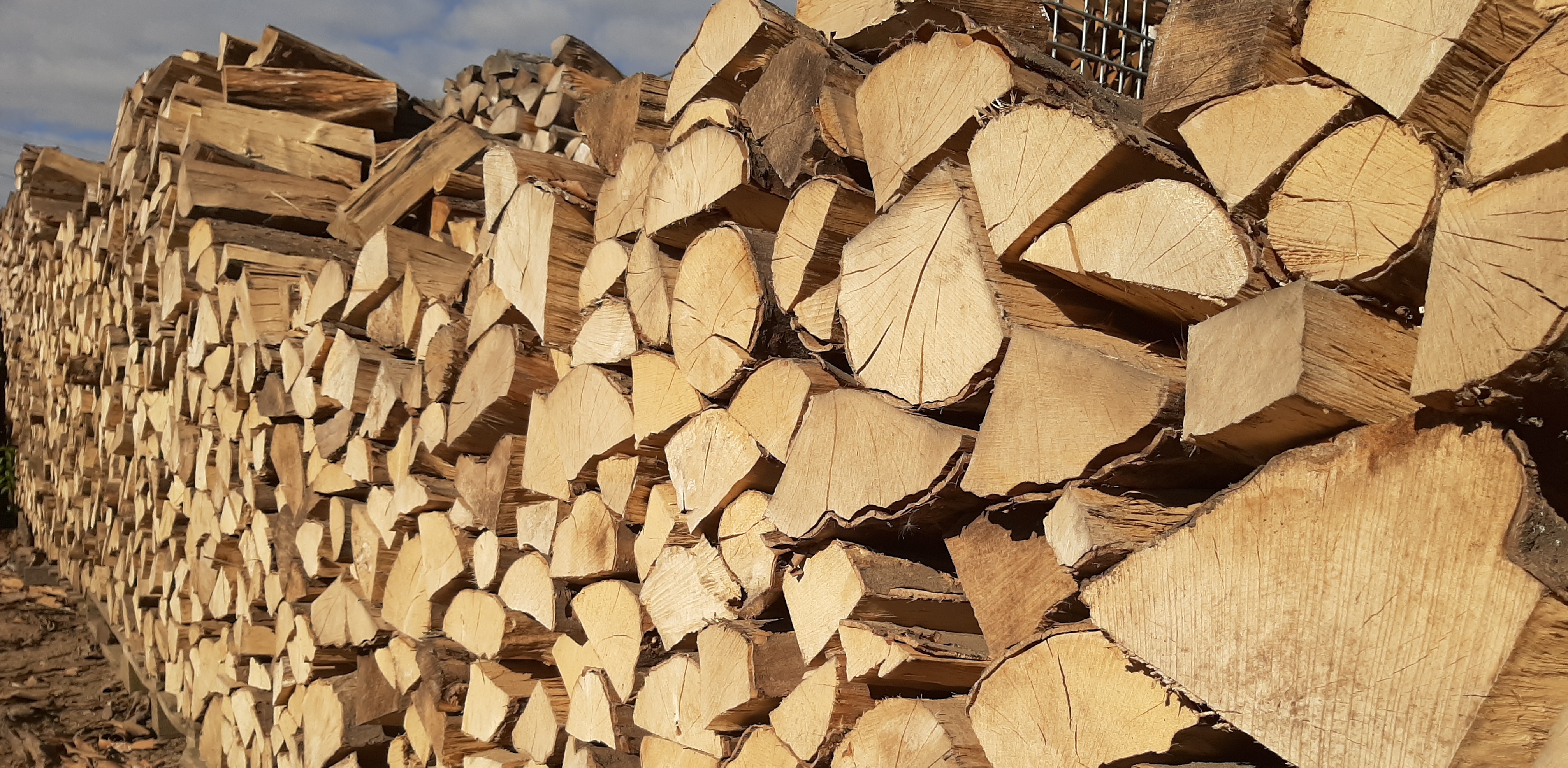 (Fot. Radio Gdańsk/Sebastian Kwiatkowski)