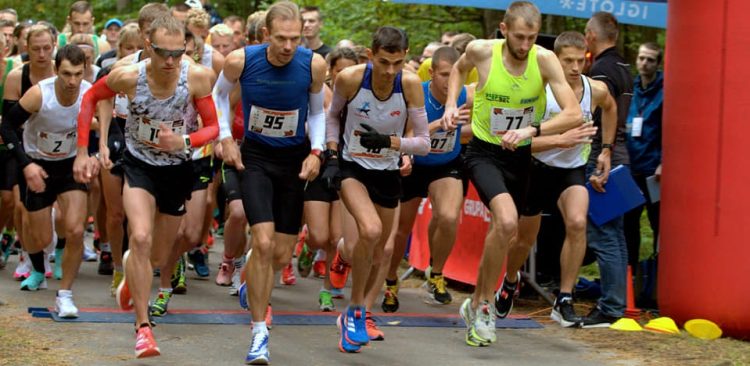 (fot. Facebook.com/Bieg Wilka Kociewskiego - najszybsza leśna 5-tka)