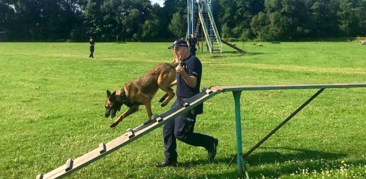 (Fot. pomorska.policja.gov.pl)