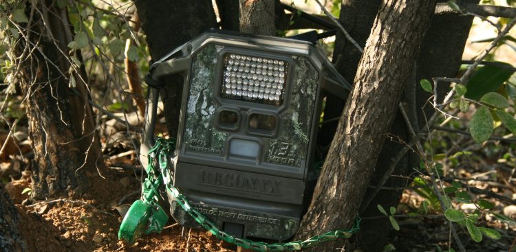 (Fot. Wikimedia Commons/PJeganathan)