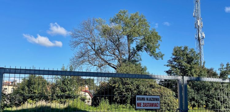 (Fot. Radio Gdańsk/Marta Włodarczyk)