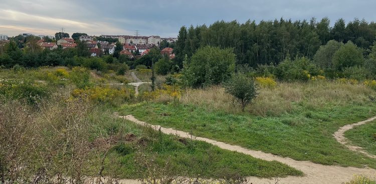 (Fot. Radio Gdańsk/Marta Włodarczyk)