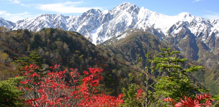 (fot. Wikimedia Commons)