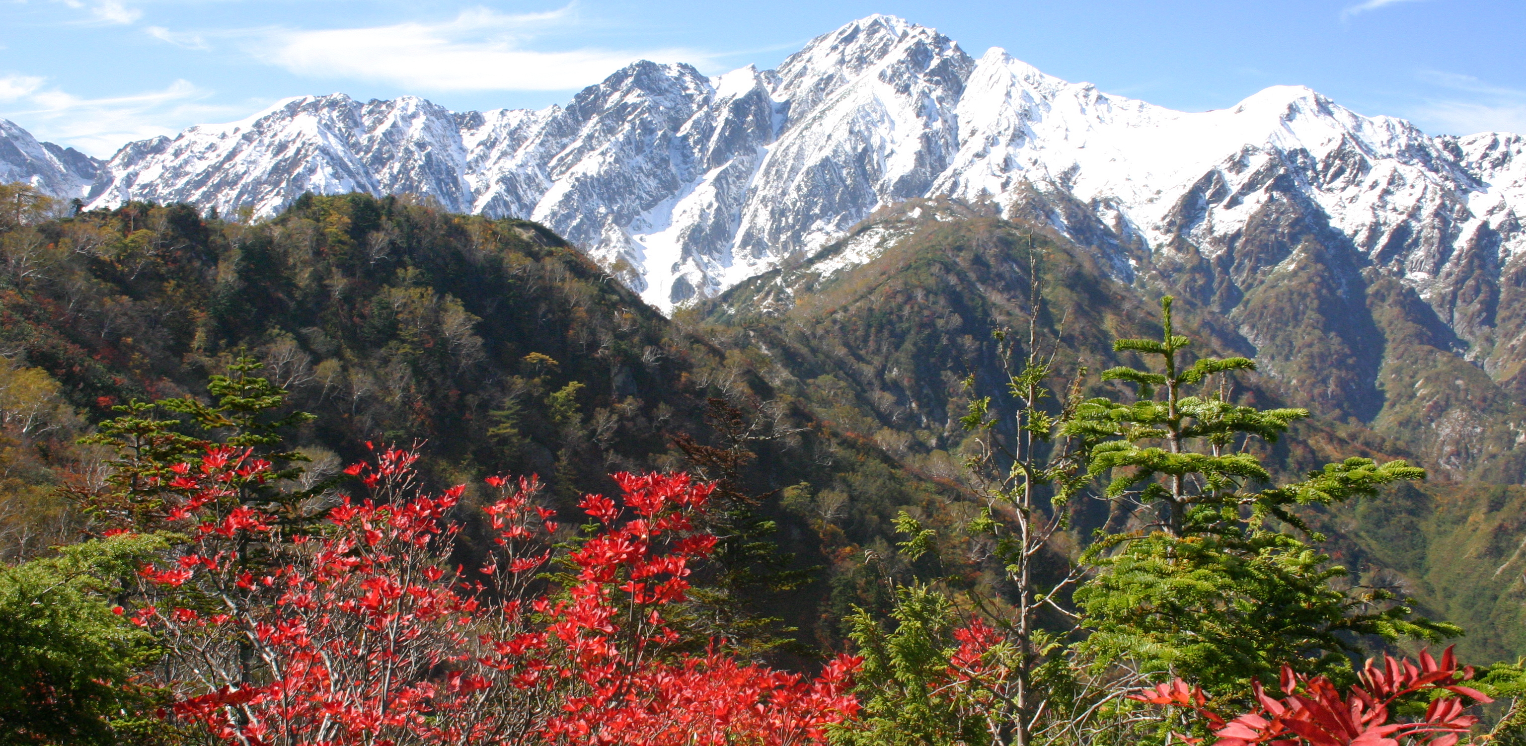 (fot. Wikimedia Commons)