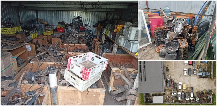 (Fot. Karolina Bogdewicz/WIOŚ Gdańsk)