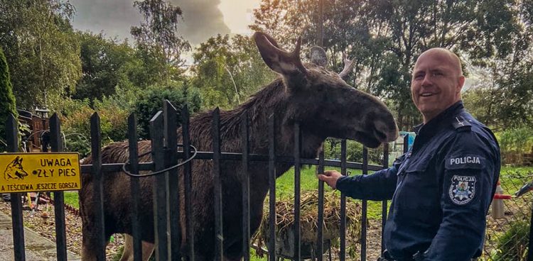 (fot. Komenda Powiatowa Policji w Nowym Dworze Gdańskim)