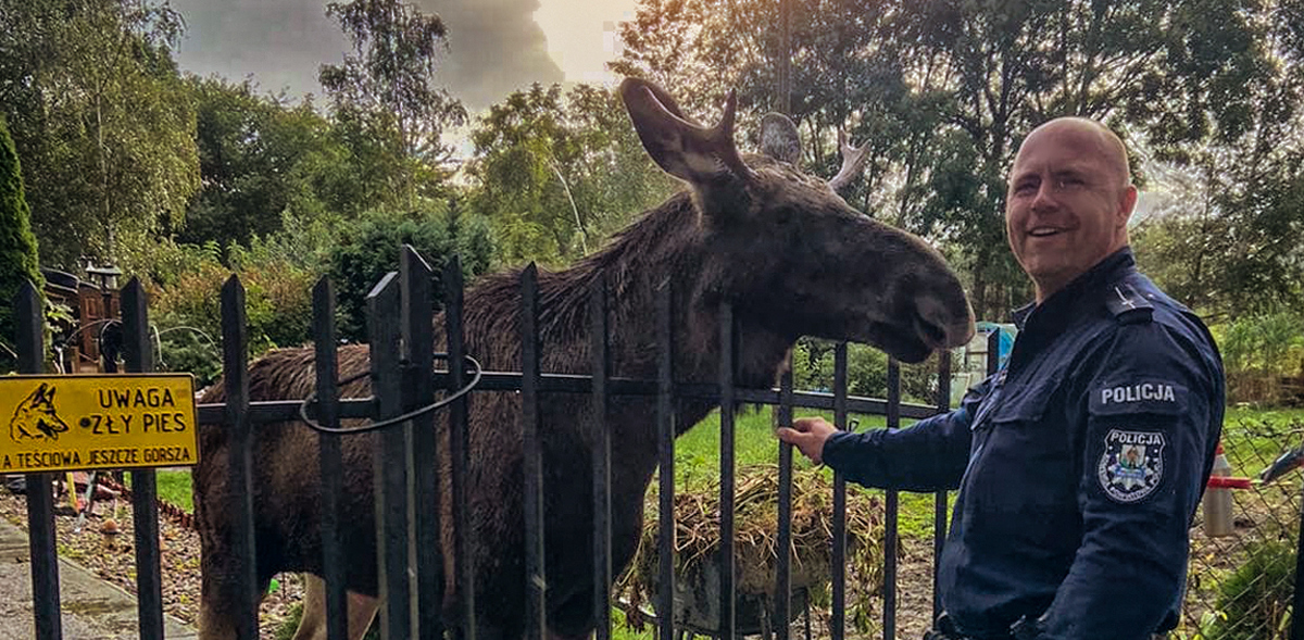 (fot. Komenda Powiatowa Policji w Nowym Dworze Gdańskim)