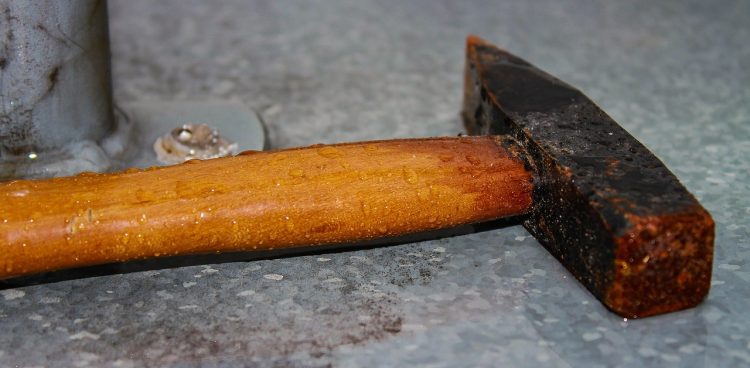 Zdjęcie ilustracyjne (fot. Pixabay)