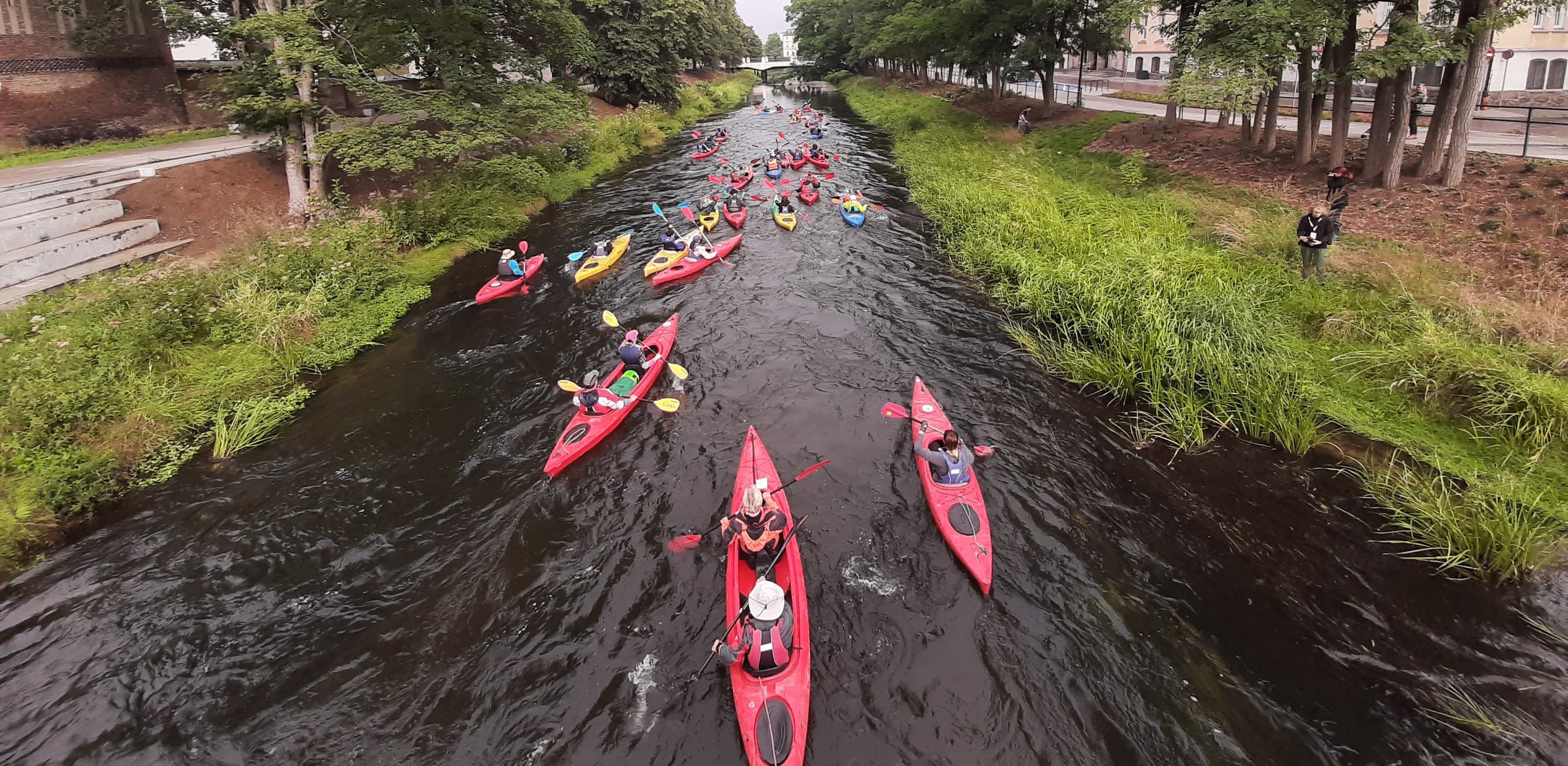 Fot. Przemysław Woś
