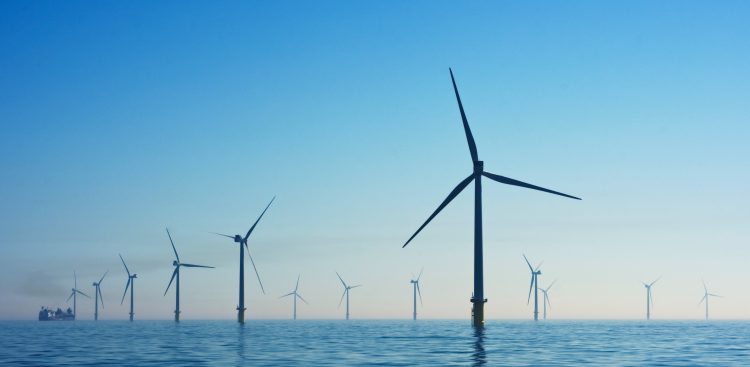 (Fot. Unsplash/Nicholas Doherty)