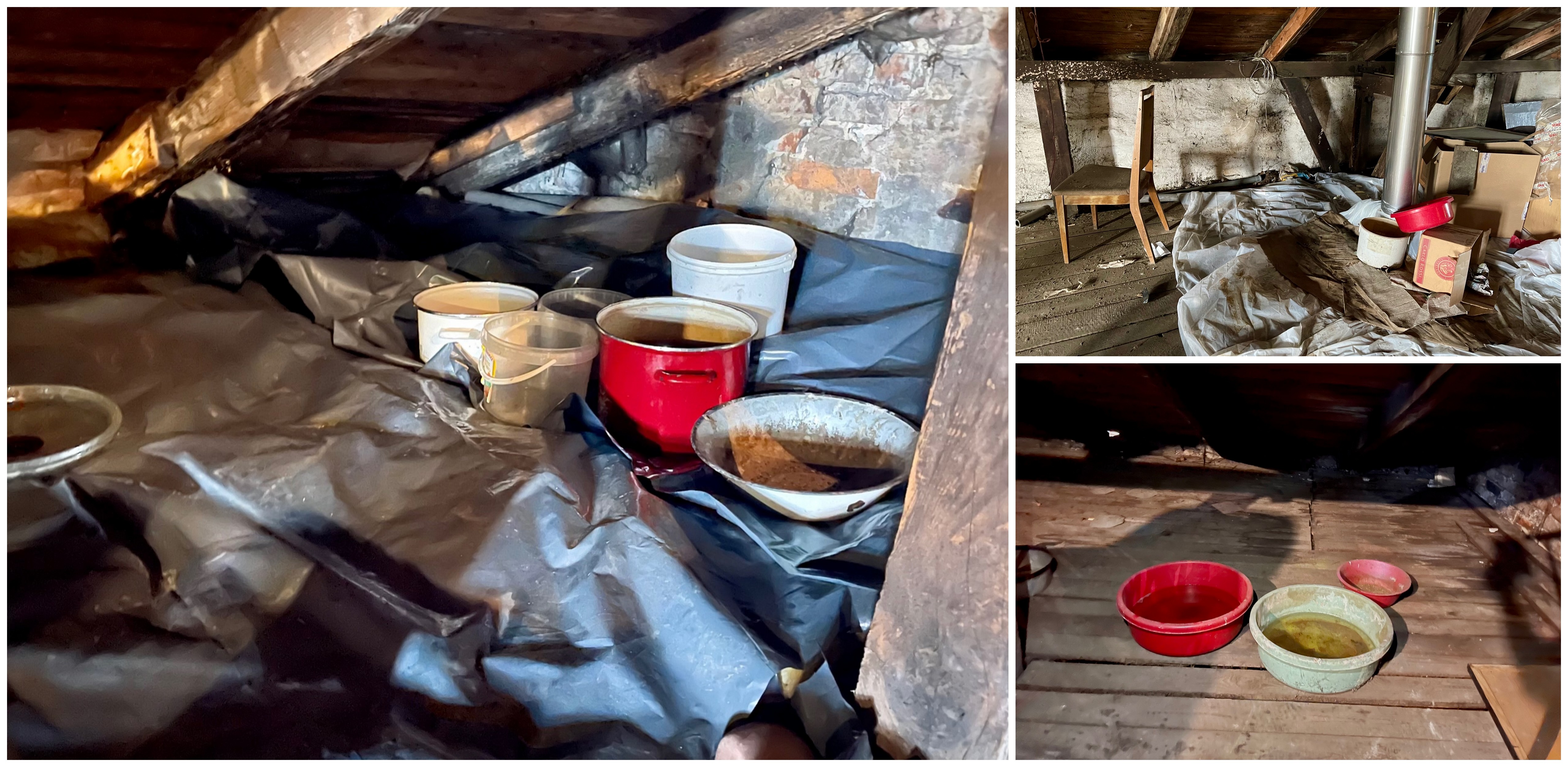 (Fot. Radio Gdańsk/Marta Włodarczyk)