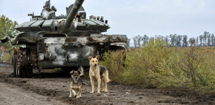 (Fot. PAP/EPA/OLEG PETRASYUK)