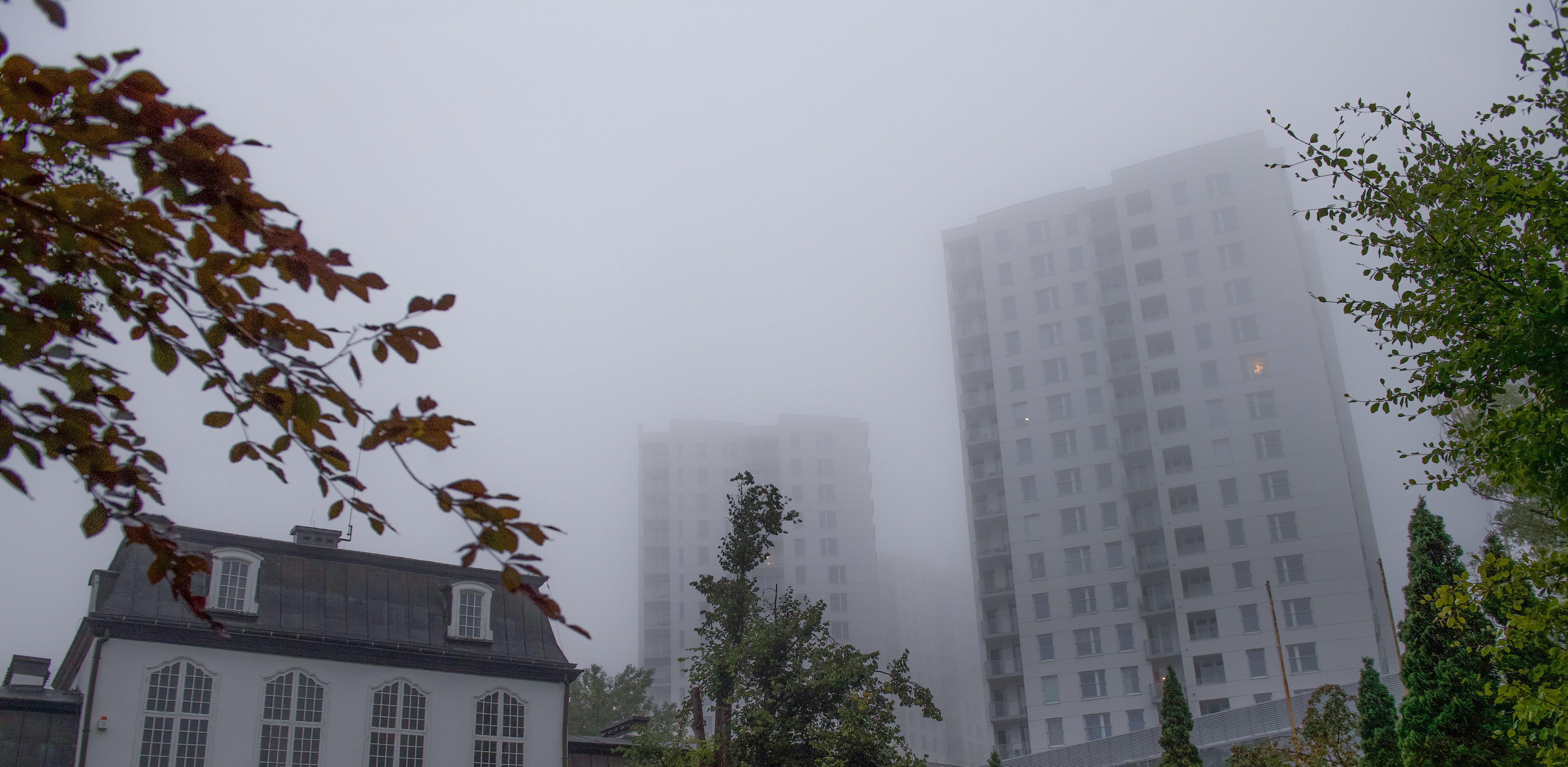 (fot. Konrad Kosycarz / KFP)