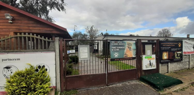 (Fot. Radio Gdańsk/Grzegorz Armatowski)