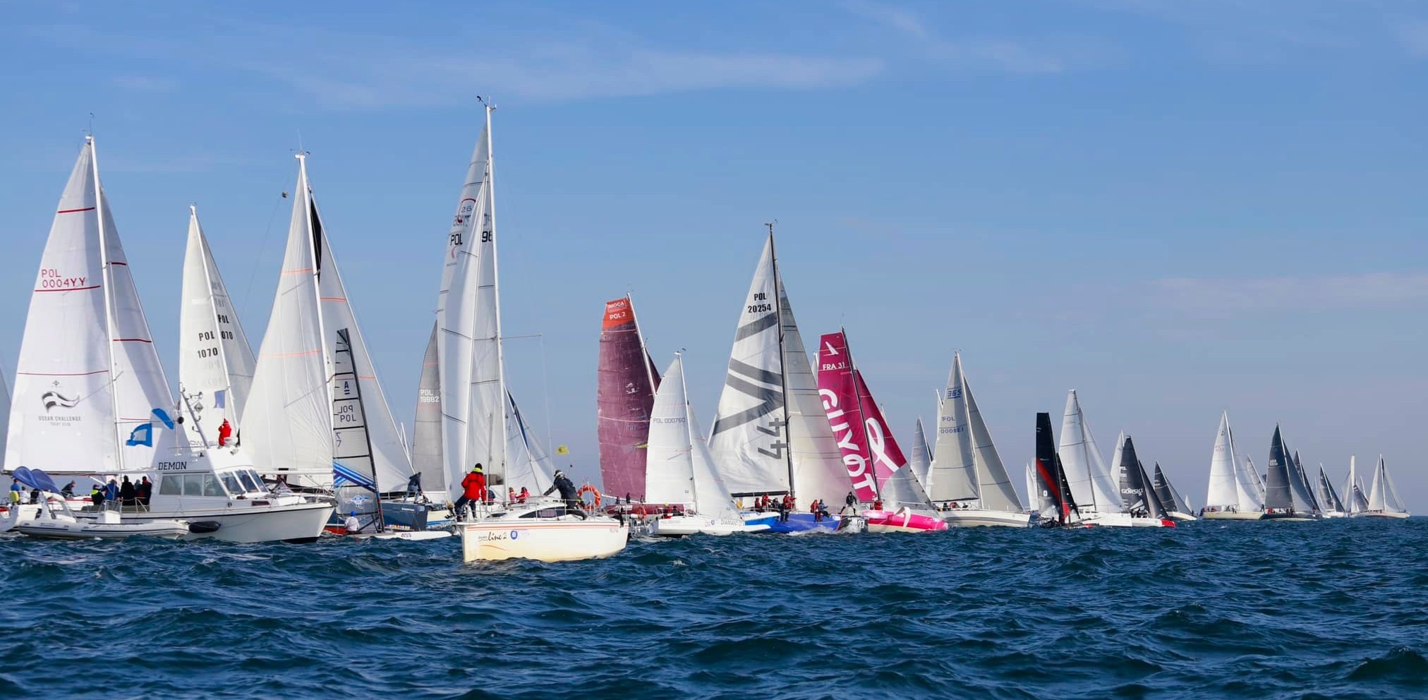 (fot. Jacek Paluchowski /Facebook.com/Błękitna Wstęga Zatoki Gdańskiej)