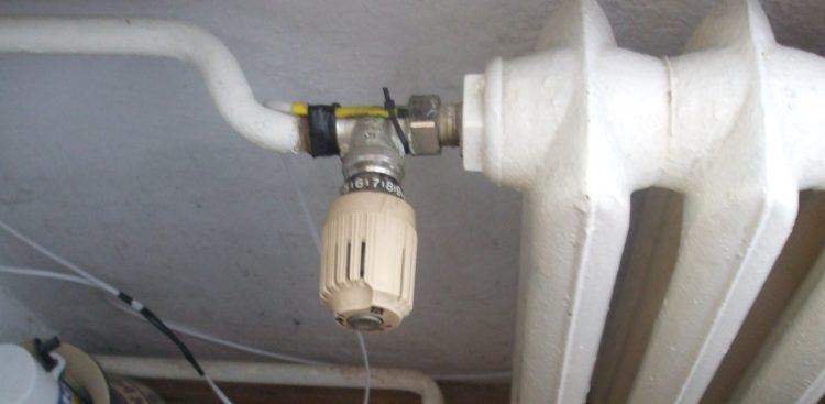 (Fot. Flickr/Tomasz Przechlewski)