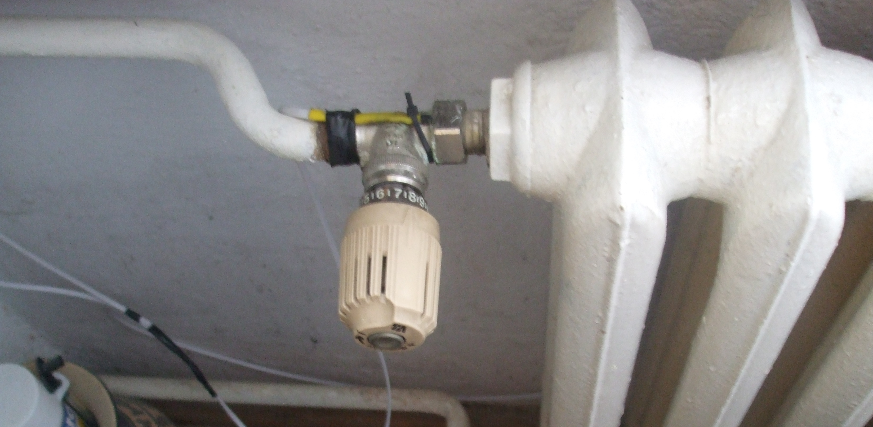 (Fot. Flickr/Tomasz Przechlewski)