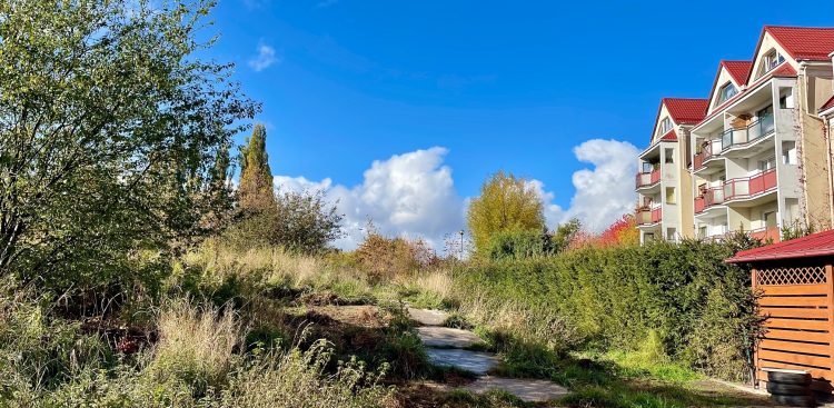 (Fot. Radio Gdańsk/Marta Włodarczyk)