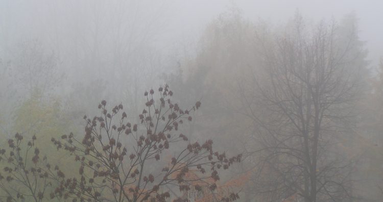 Zdjęcie ilustracyjne (Fot. Wikimedia Commons/Wuhazet-Henryk Żychowski)