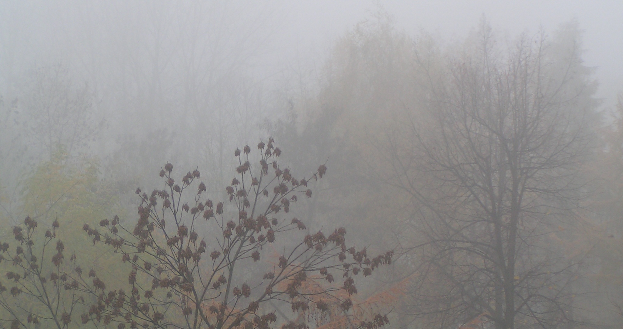 Zdjęcie ilustracyjne (Fot. Wikimedia Commons/Wuhazet-Henryk Żychowski)