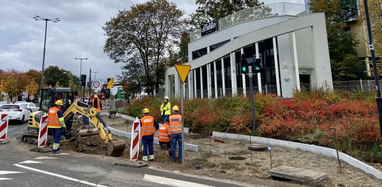 (Fot. materiały UMS)