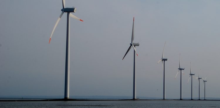 (fot. Wikimedia Commons/Ragnar1904)